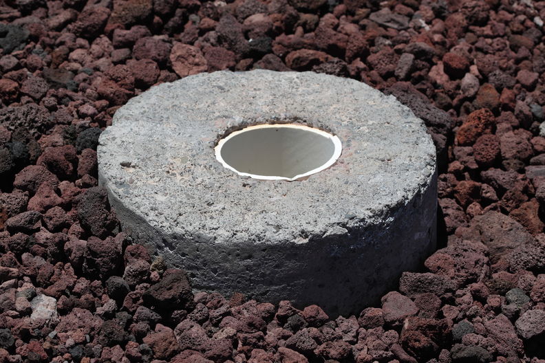 Nysius wekiuicola Mauna Kea death trap 8581.jpg