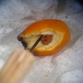 Sophora seed borer 1215.jpg