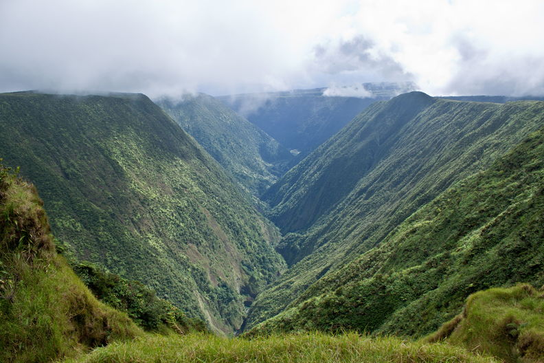 Upper Hamakua Ditch Trail. Alakahi, one of the main branches of Waipio Valley. Alakahi 7918.jpg