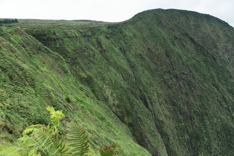 Upper Hamakua Ditch Trail. Alakahi, one of the main branches of Waipio Valley. Alakahi 7922.jpg