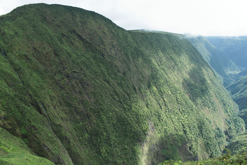 Upper Hamakua Ditch Trail. Alakahi, one of the main branches of Waipio Valley. Alakahi 7923.jpg