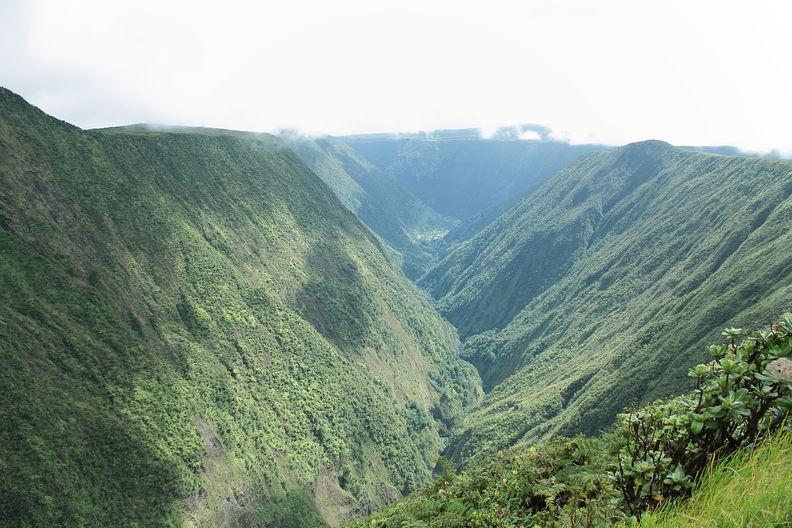 Upper Hamakua Ditch Trail. Alakahi, one of the main branches of Waipio Valley. Alakahi 7925.jpg