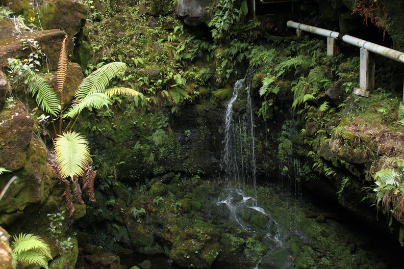 August 6, 2009. Hionamoa Gulch. Since I was last here in 2006, Pahala shifted its water supply to a deep well makai, so Alili spring was uncapped. I think this was the first time I've seen a spring in Hawaii flowing naturally. The water collected in a pool below, but the ground was so porous that the stream wasn't flowing even below the spring. Alili spring flowing 0885.jpg