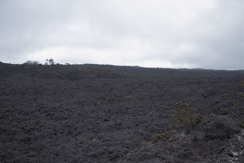 Kulani, Puu Makaala NAR. Looking out over the 1942 and 1984 lava flows. Kulani lava flows 8113.jpg