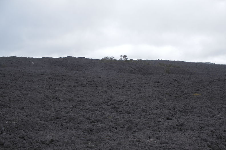 Kulani, Puu Makaala NAR. Looking out over the 1942 and 1984 lava flows. Kulani lava flows 8116.jpg